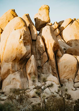 Joshua Tree Rock Formations