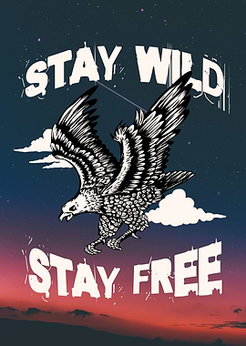 Eagle Soaring, Stay Wild, Stay Free