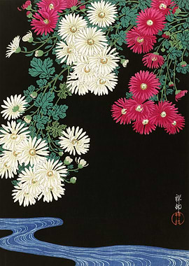 Chrysanthemum Flowers and Stream