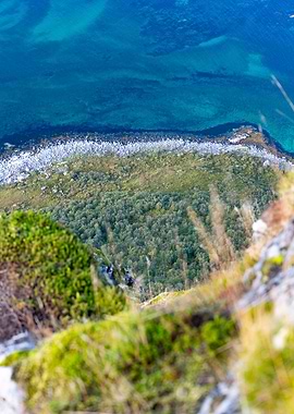 Aerial View of Norwegian Fjord Coastline