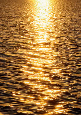 Golden Water Reflections