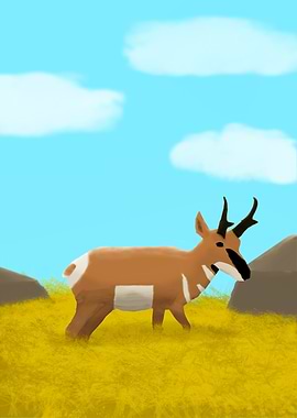Pronghorn in Grassland