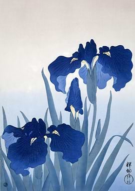 Blue Irises Print