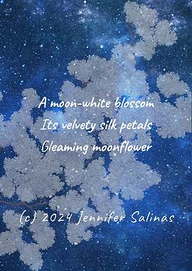 Moonflower Haiku
