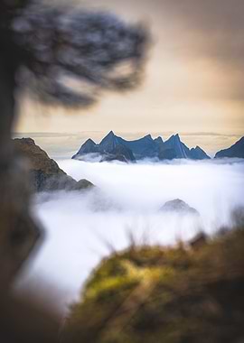 Mountain Peaks of Reine in golden Hour