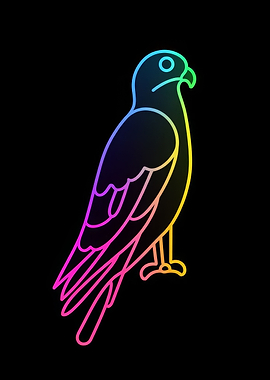 Rainbow Hawk Outline