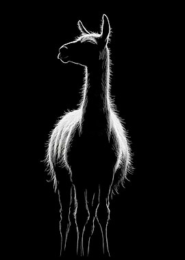 Animal White Llama Art