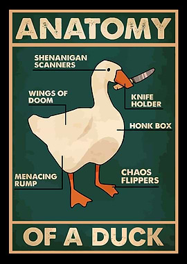 Anatomy of a Duck Poster
