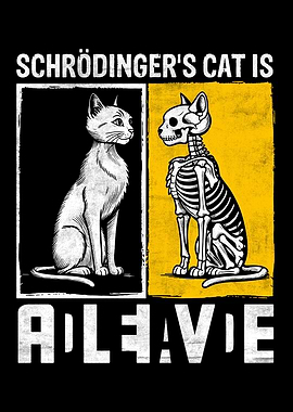 Schrödinger's Cat Paradox