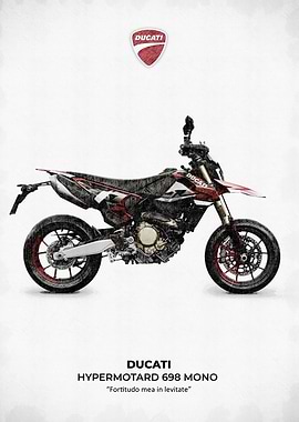 Ducati Hypermotard 698 Mono