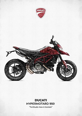 Ducati Hypermotard 950 Motorcycle