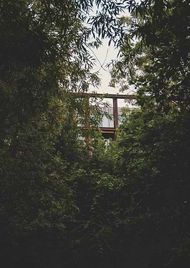 Tall building seen through the trees in London, England.