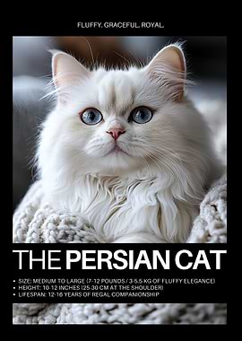 Persian Cat Portrait