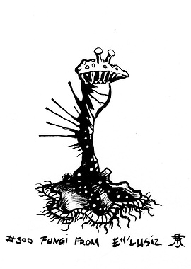 Fungi From Eh'lusiz