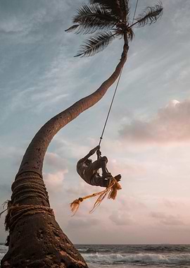 Palm Tree Swing