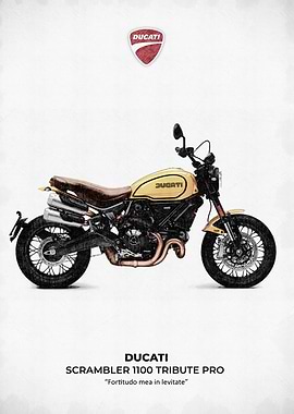 Ducati Scrambler 1100 Tribute Pro