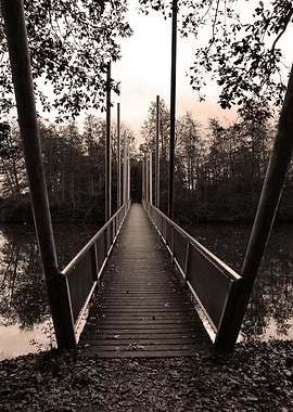 Wooden Bridge in Forest