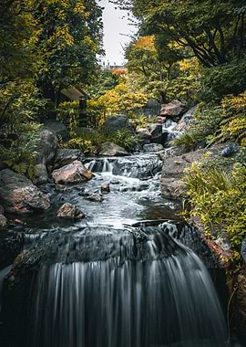 Waterfall in Lush Forest