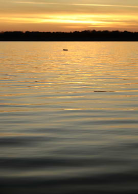 Golden Sunset Over Water