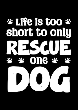 Rescue One Dog