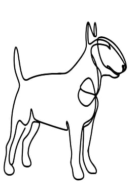 Bull Terrier Line Art