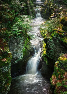 Waterfall in Lush Forest