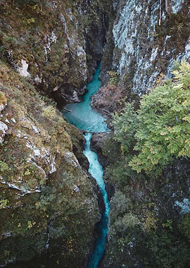 Mountain River Gorge