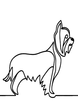 Yorkshire Terrier Line Art
