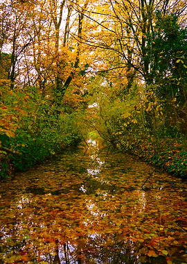 Autumn Canal