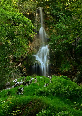 Waterfall in Lush Forest