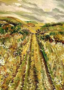 Hills in the summertime