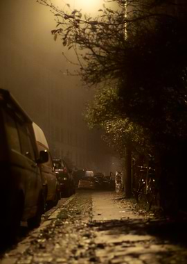 Foggy Night Street
