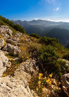 Mountaintop View with Yellow Flowers, Greece