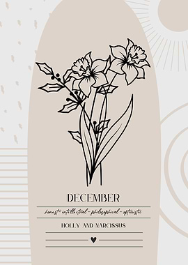 December Birth Flower Holly Narcissus Print