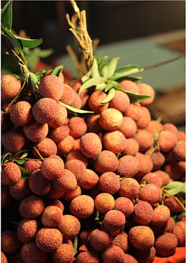Lychee Fruit Close-Up