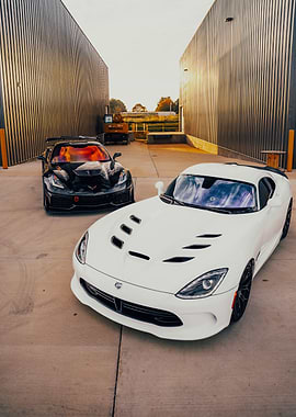 White Dodge Viper and Black Corvette