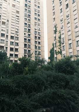 Apartment Buildings with Greenery