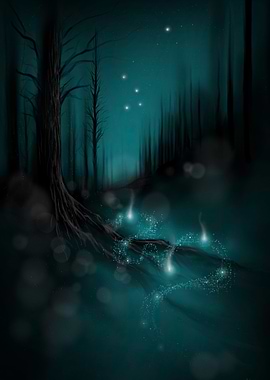 Enchanted Forest Night