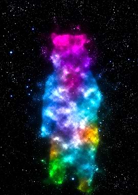 Cosmic Bear