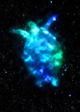 Cosmic Turtle