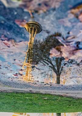 Space Needle Reflection