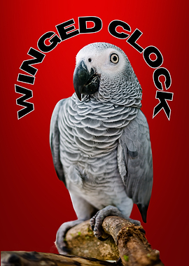 Grey Parrot on Branch