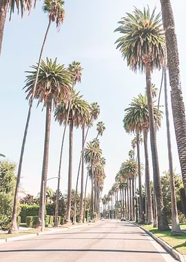 Los Angeles, USA I Under palm trees of Beverly Hills, celebrity villas with Californian architecture for minimalist retro vintage minimalist geometric composition in the light of sunset pastel aesthetic
