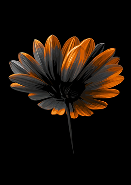 Flower Under Morning Light