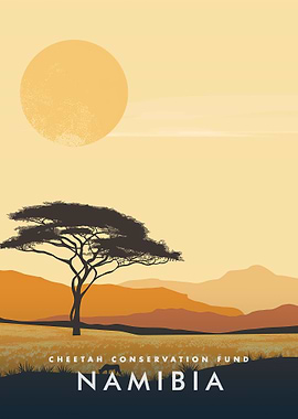 Namibia Cheetah Conservation