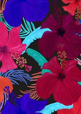 Tropical Hibiscus Flowers