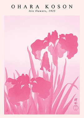 Ohara Koson Pink Iris Flowers