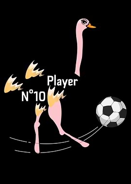 Ostrich Soccer Player