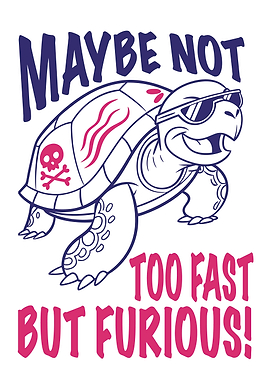 Furious Turtle Design