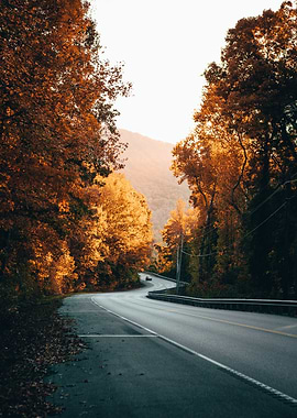 Autumn Road Through Forest